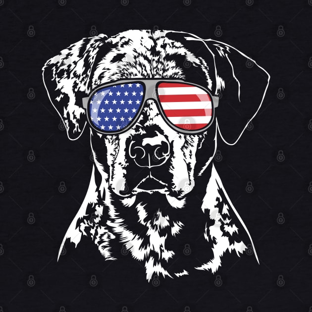 Patriotic Catahoula Leopard Dog with American Flag sunglasses by wilsigns